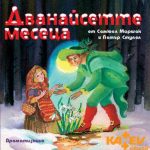 12 месеца