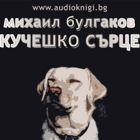 Kucheshko-sarce